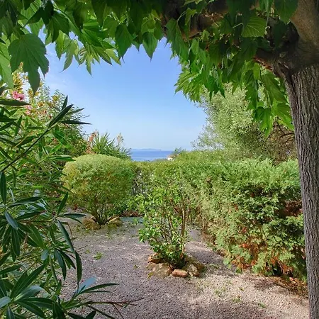 Lejlighed - Jardinet Prive - 5 Minutes Des Plages Sanguinaires - Ajaccio (Corsica)